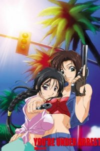 Вы арестованы OVA-2 (2002)