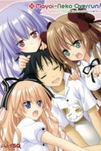 Нашествие бродячих кошек! Спецвыпуски (2010)