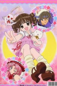 В поисках Полной Луны OVA (2002)
