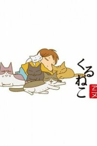  Кошачьи истории [ТВ] (2009) 