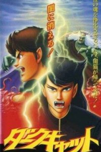 Черный кот (1991)